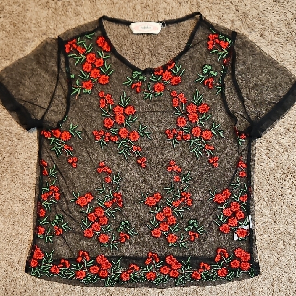 Twinkle By Wenlan Sheer Mesh Embroidered Top - Picture 3 of 11